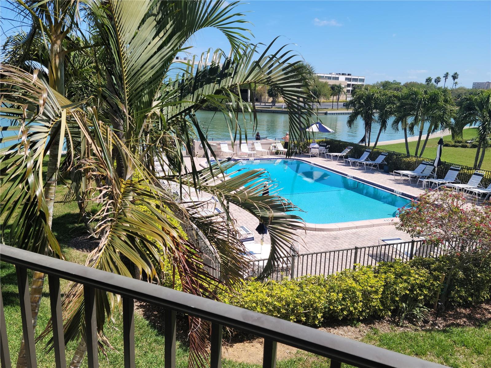 Florida home for rent 7405 Bay Island Dr S Apt 224 South Pasadena FL, 33707