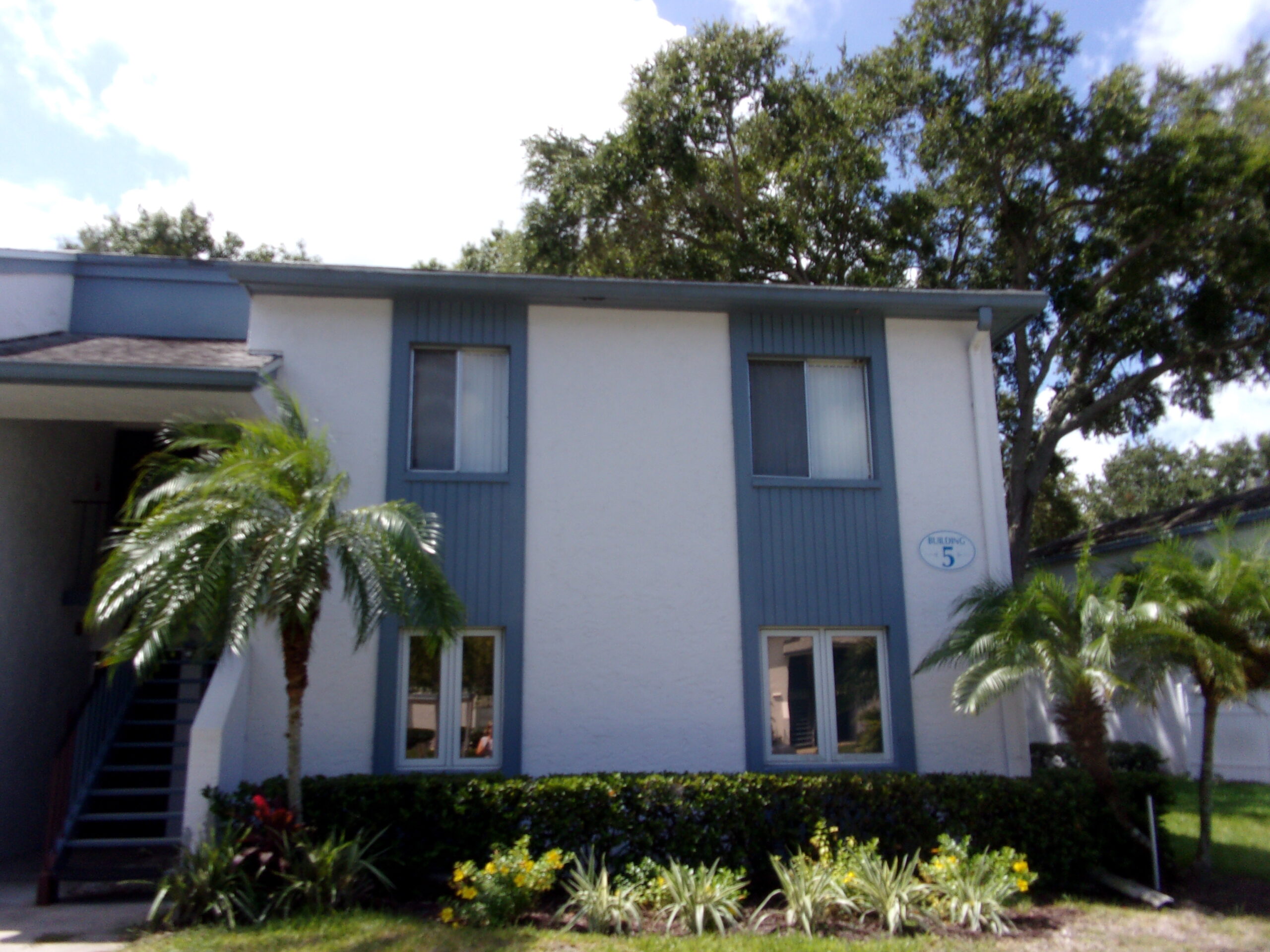 Florida home for rent 216 Cypress Ln  Oldsmar FL