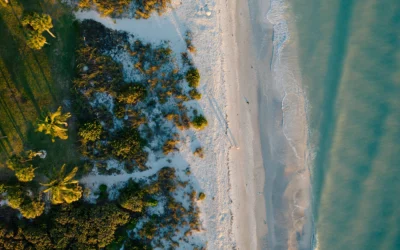 What International Property Investors Need from a Florida Property Management Company